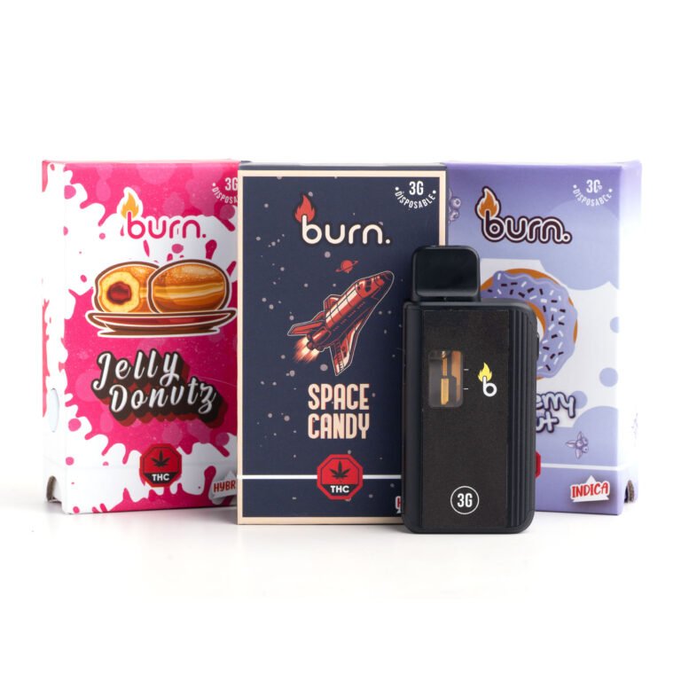 3g Disposable Vapes (Burn) | Herb Approach | Buy Vapes Online Canada