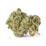 Accidental Haze Cannabis Strain