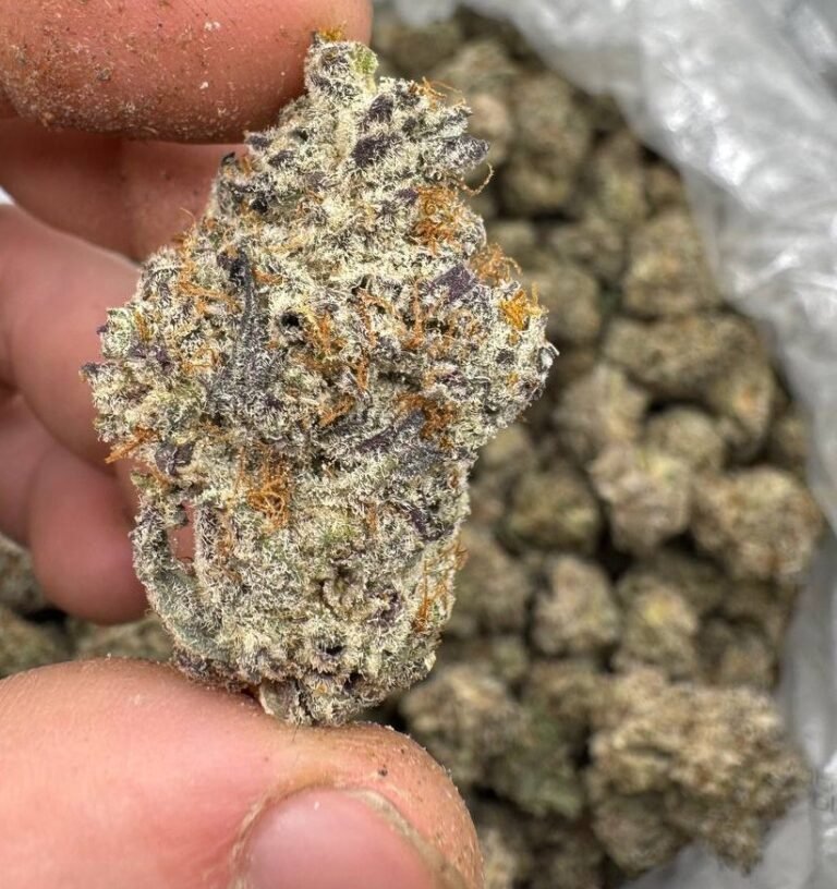 Apple Fritter Strain