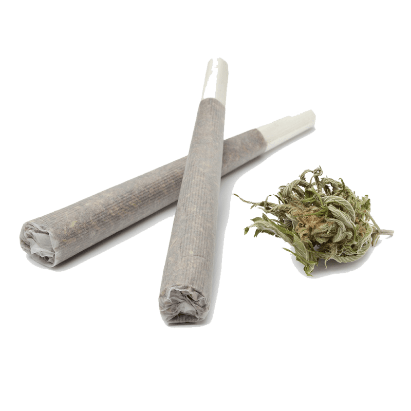 Buy Gelato Organic Pre-Roll Buy Gelato Organic Pre-Roll