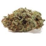 Buy Mystery Haze Weed Strain