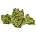 Buy Sheila Marijuana Strain