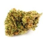Elmer's Glue Marijuana Strain