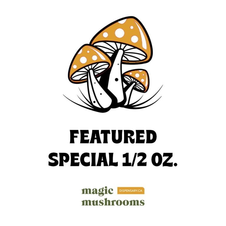 Featured Special ‘Oz’ Magic Mushrooms (28 grams)