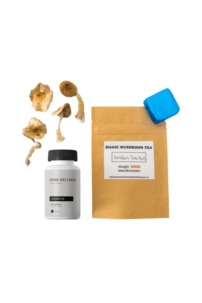 First Timer Magic Mushroom Kit: Psych 101 – An Introduction to Psychedelics