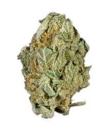 Full Moon Cannabis Strain