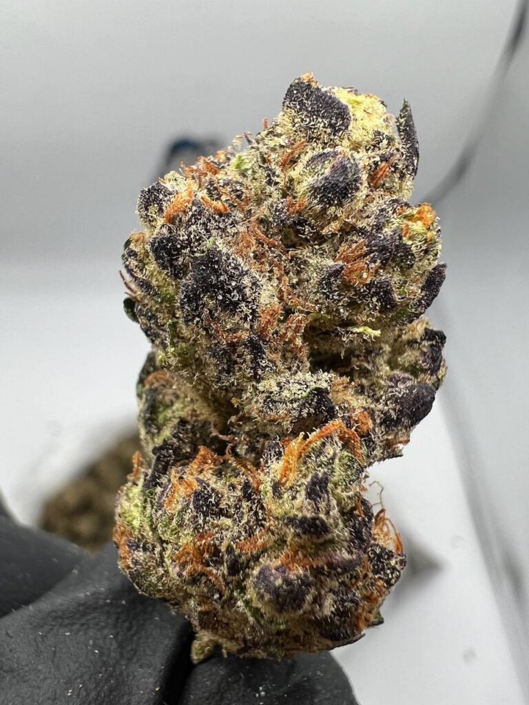 Granddaddy Purple Strain