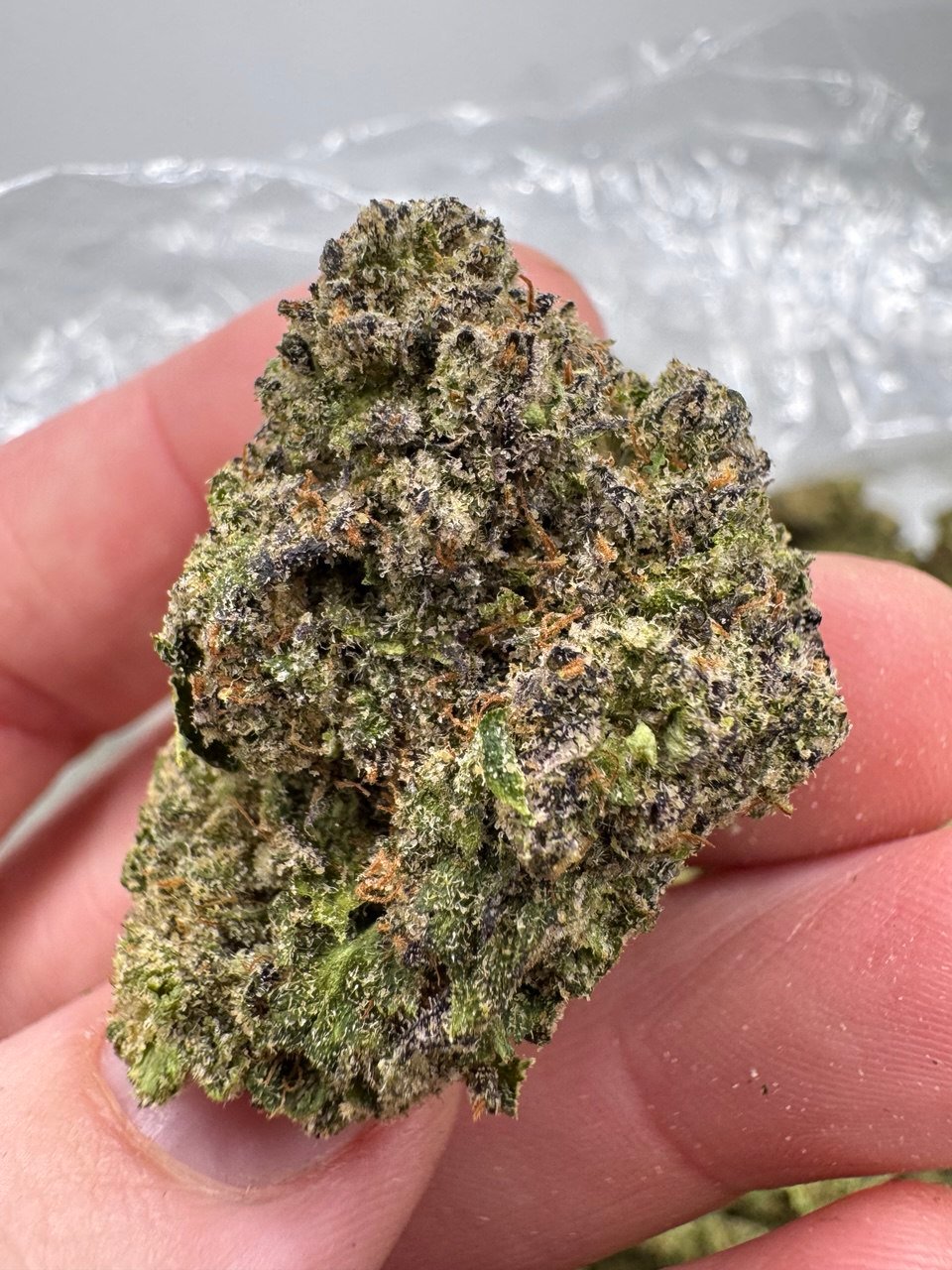 Northern Lights strain Northern Lights strain