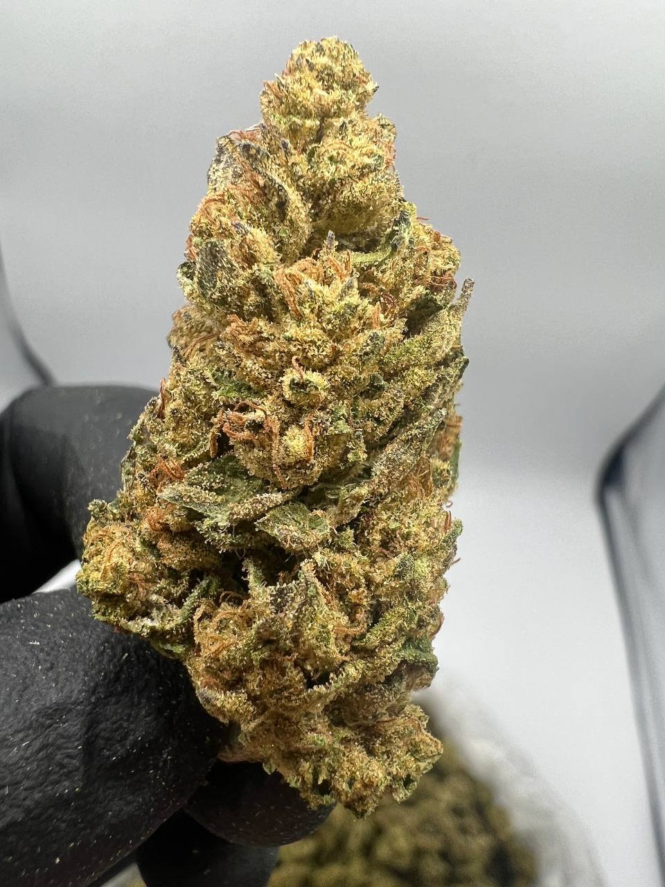 Skywalker Kush Skywalker Kush