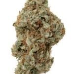 Tangerine Dream Cannabis Strain